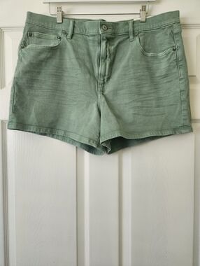 NWT American Eagle Outfitters Sage Green Denim Shorts - Women's 18